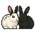 bunnies